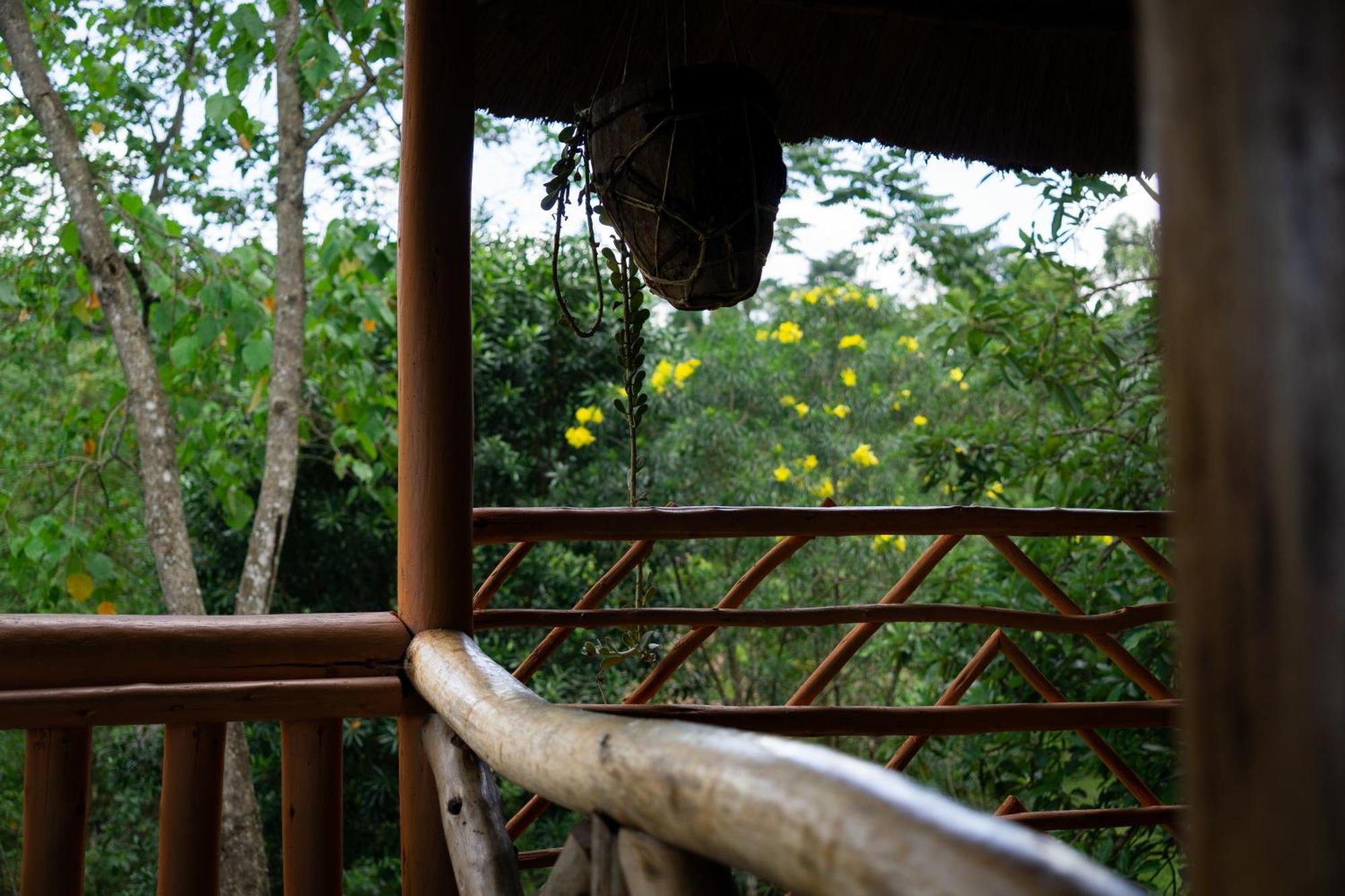 Dave The Cave Eco Lodge And Cultural Campsite Rubirizi Exterior photo